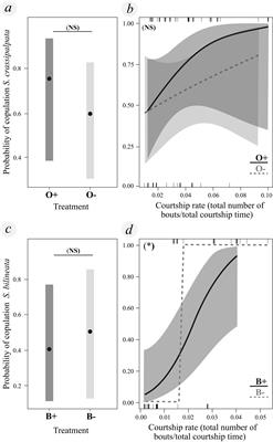 Courtship performance, not ornamentation, predicts mating success in two sister-species of wolf spider with divergent phenotypes